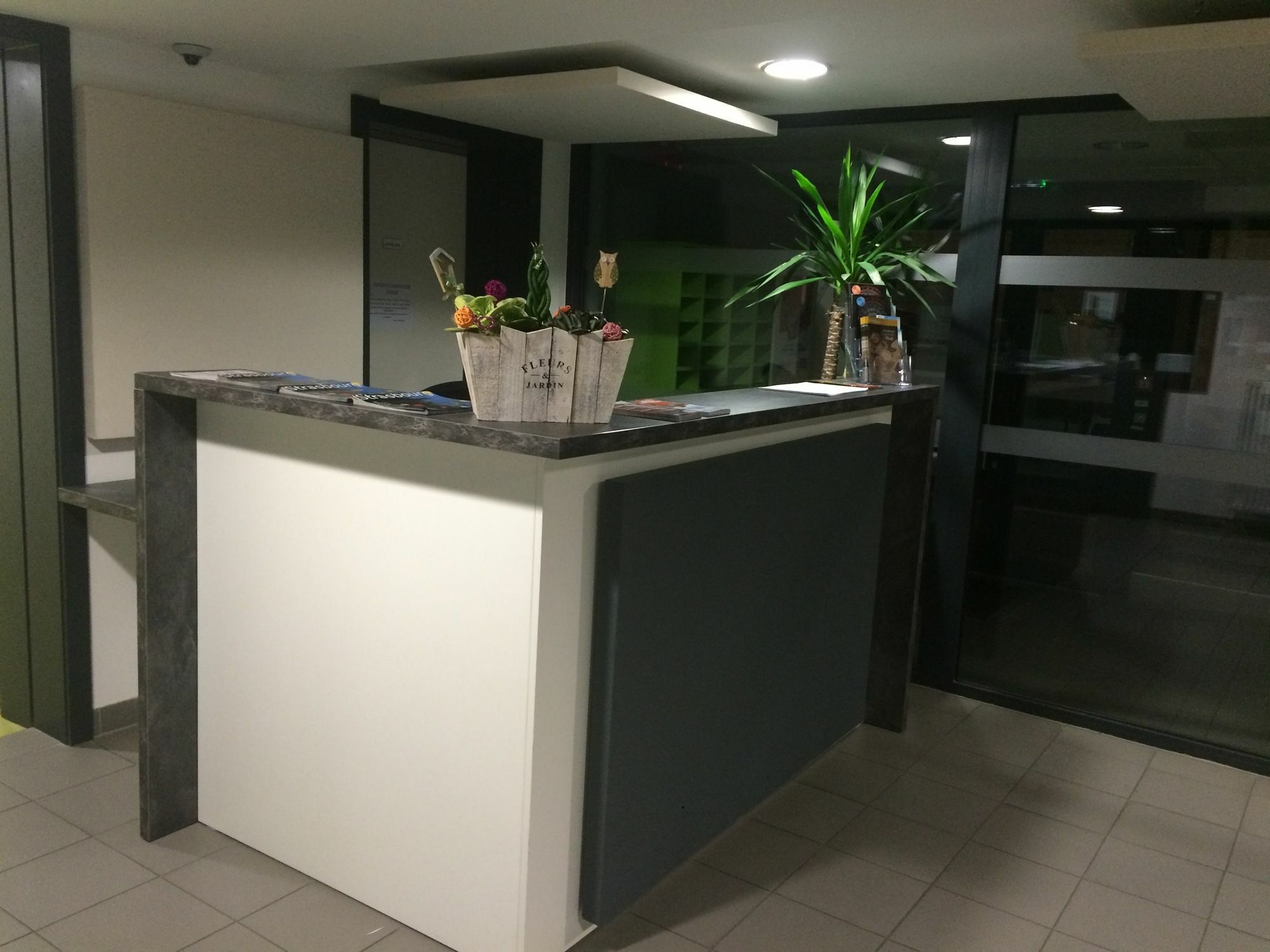 Residence Hoteliere Louise Strasbourg Exterior foto